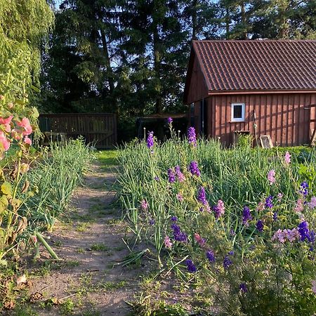 Agroturystyka Omelia Czluchow Ngoại thất bức ảnh