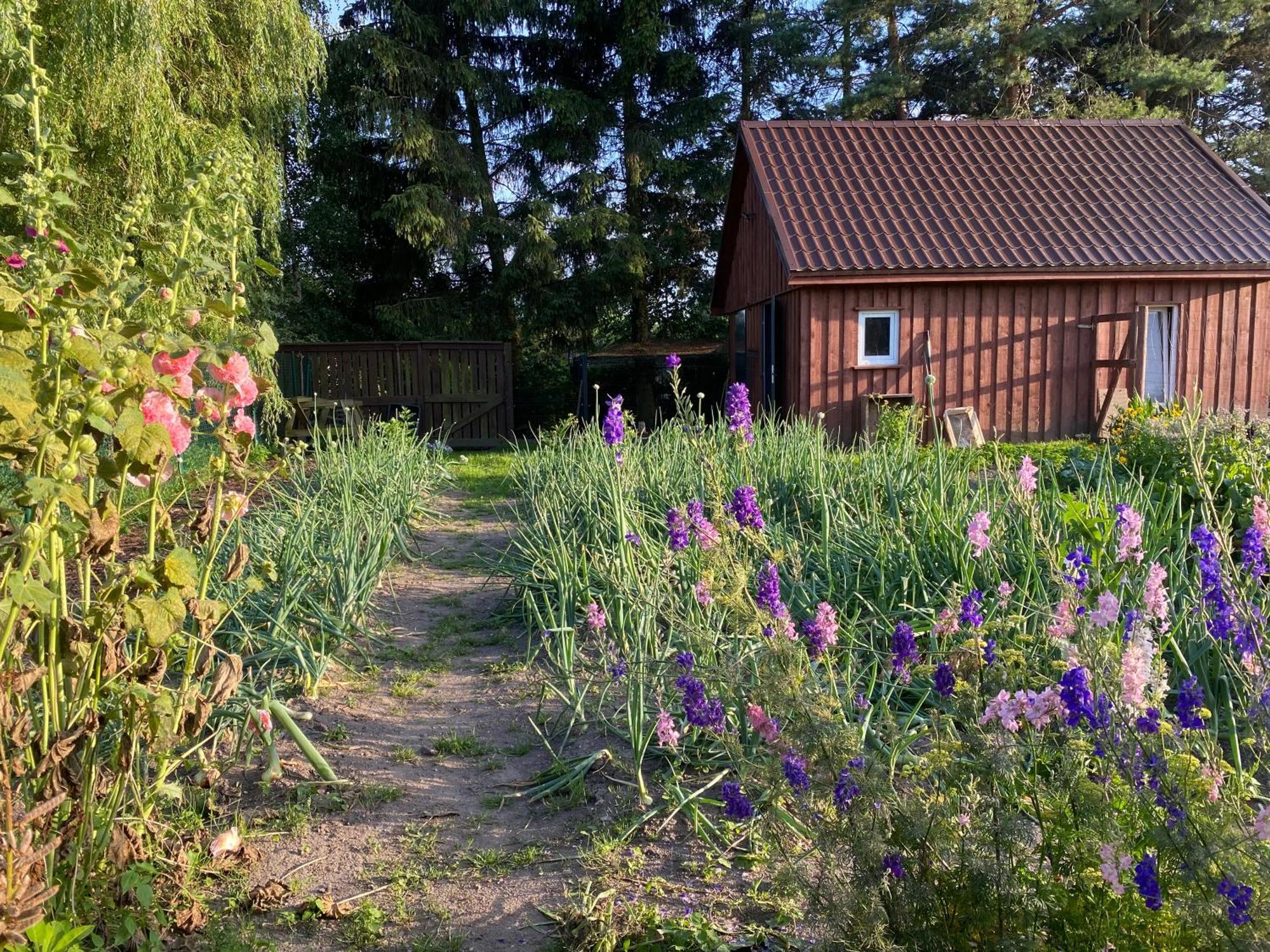 Agroturystyka Omelia Czluchow Ngoại thất bức ảnh